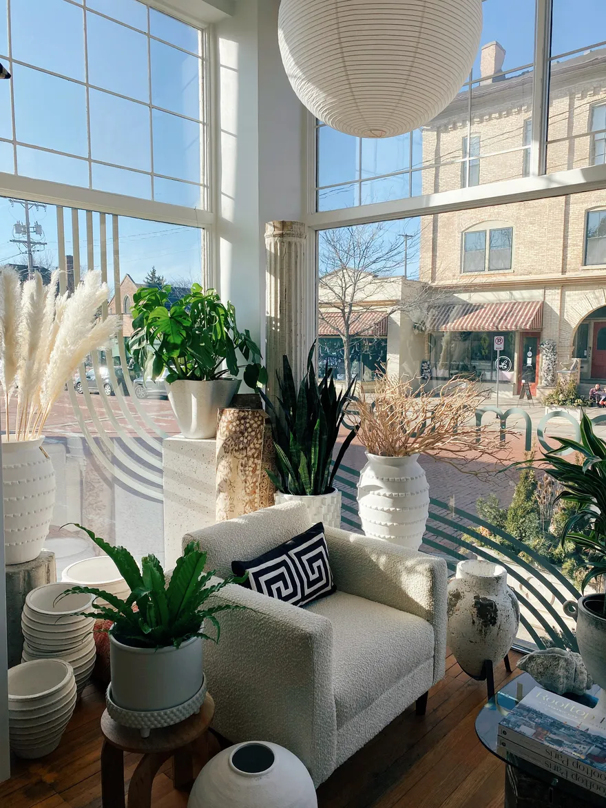 A sunlit corner with pampas grass, a monstera, snake plants and amphora planters by the window.